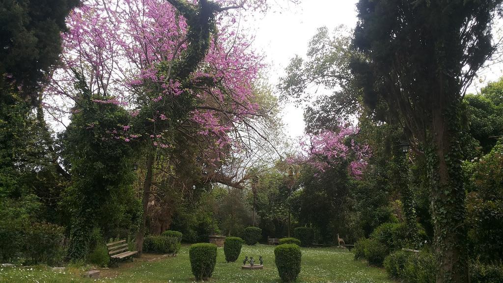 The Villa Averoff Kírinthosz Szoba fotó
